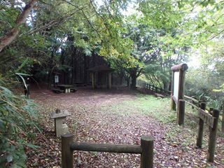 ���@����R������