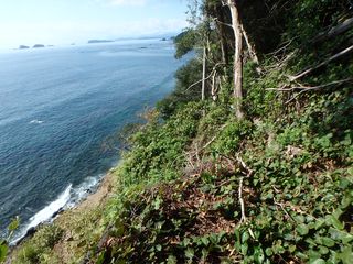 �l���݂̂�����n