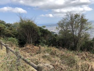 �W�]�̂��߂̔��̐�