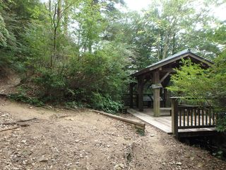 ���̒���