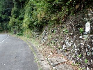 �~�j88����