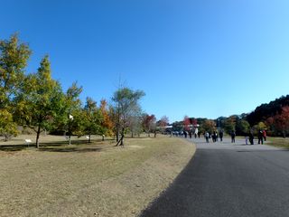 �E�H�[�L���O�R�[�X