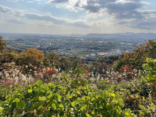 �΂�ǂ��̏�����̌i�F