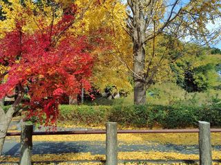 ���ؗ����e���̍g�t