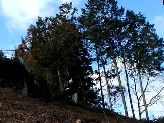 �}�ł�����